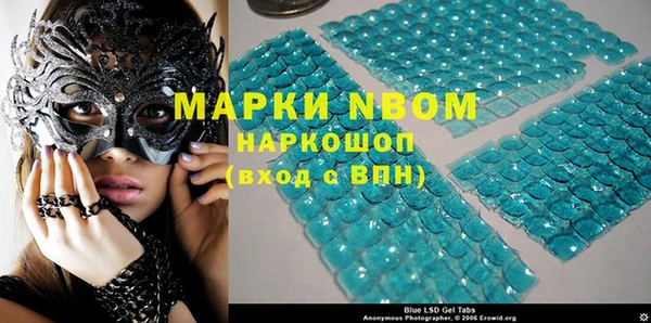 прущие грибы Абаза