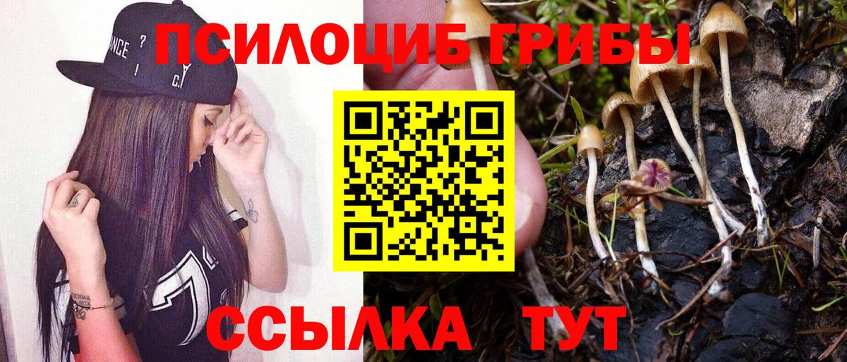 закладка  Галлюциногенные грибы мицелий  Вход с VPN  Дальнереченск 