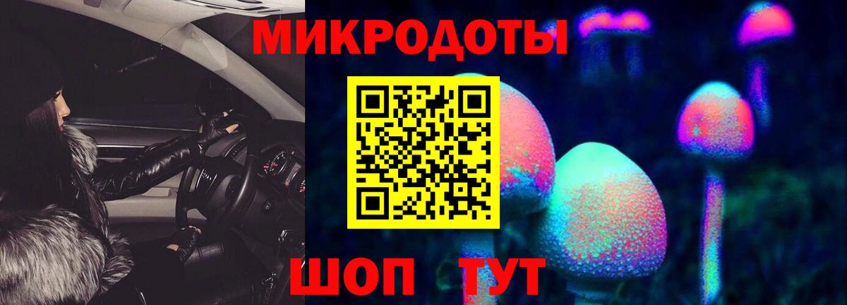 Псилоцибиновые грибы GOLDEN TEACHER Дальнереченск