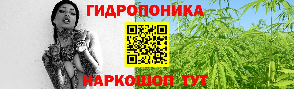 Бошки Шишки гибрид  Вход с VPN  Бошки Шишки LSD WEED  Каннабис планчик  Дальнереченск 